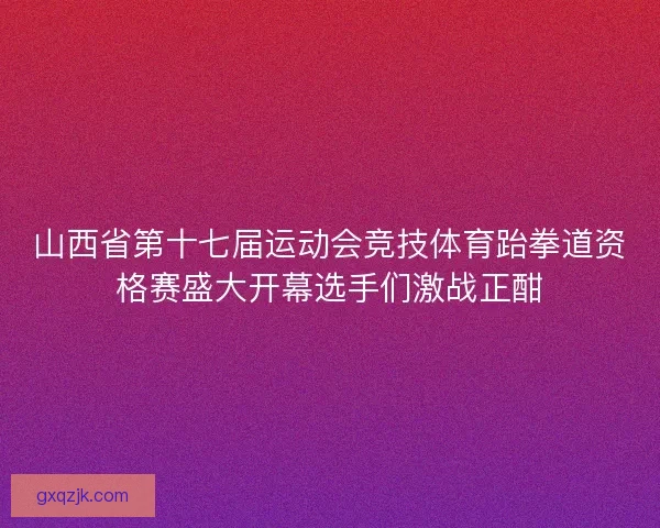 山西省第十七届运动会竞技体育跆拳道资格赛盛大开幕选手们激战正酣