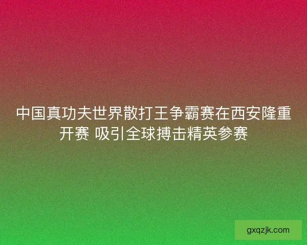 中国真功夫世界散打王争霸赛在西安隆重开赛 吸引全球搏击精英参赛