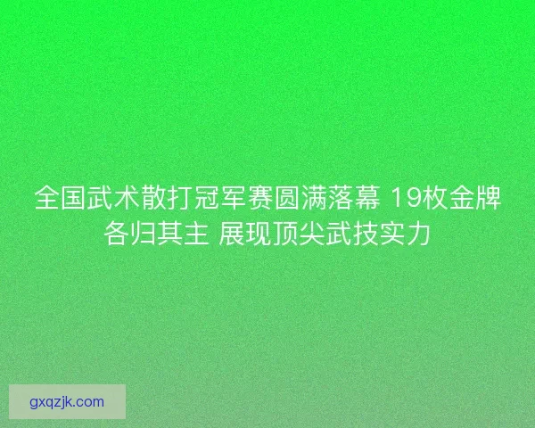 全国武术散打冠军赛圆满落幕 19枚金牌各归其主 展现顶尖武技实力
